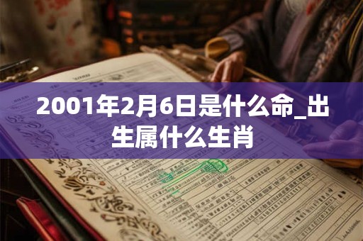 2001年2月6日是什么命_出生属什么生肖