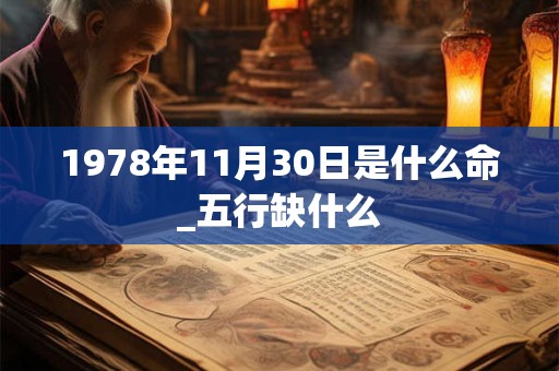1978年11月30日是什么命_五行缺什么 1978年11月30日是什么命_五行缺什么