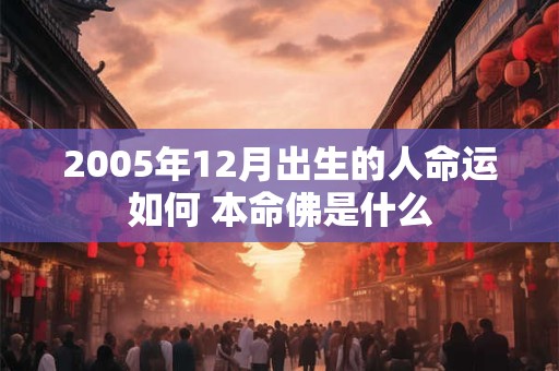 2005年12月出生的人命运如何 本命佛是什么
