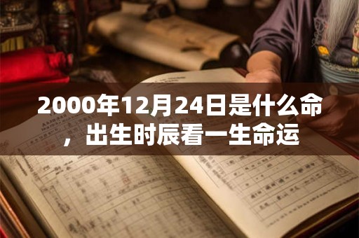 2000年12月24日是什么命,出生时辰看一生命运 2000年12月24日是什么命,出生时辰看一生命运