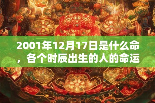 2001年12月17日是什么命,各个时辰出生的人的命运 2001年12月17日是什么命,各个时辰出生的人的命运