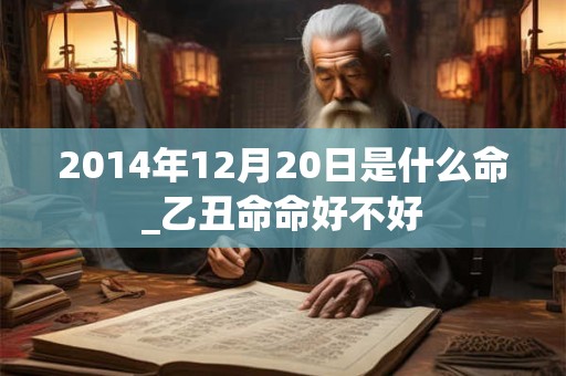 2014年12月20日是什么命_乙丑命命好不好