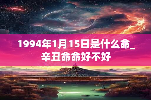 1994年1月15日是什么命_辛丑命命好不好