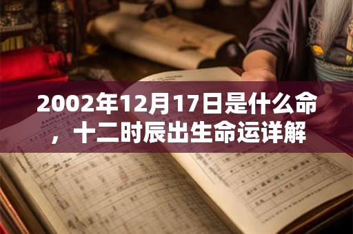 2002年12月17日是什么命，十二时辰出生命运详解