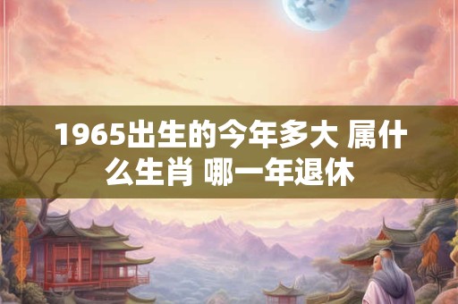 1965出生的今年多大 属什么生肖 哪一年退休