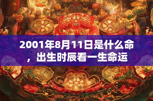 2001年8月11日是什么命，出生时辰看一生命运