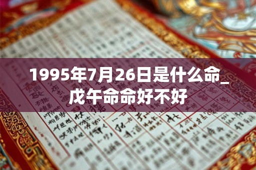 1995年7月26日是什么命_戊午命命好不好