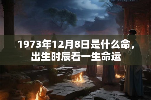 1973年12月8日是什么命，出生时辰看一生命运