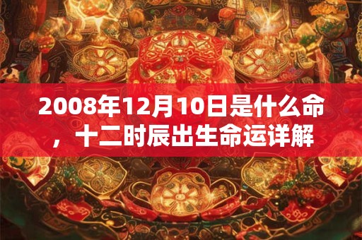 2008年12月10日是什么命，十二时辰出生命运详解
