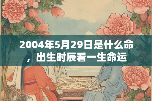 2004年5月29日是什么命，出生时辰看一生命运