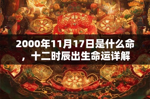2000年11月17日是什么命，十二时辰出生命运详解