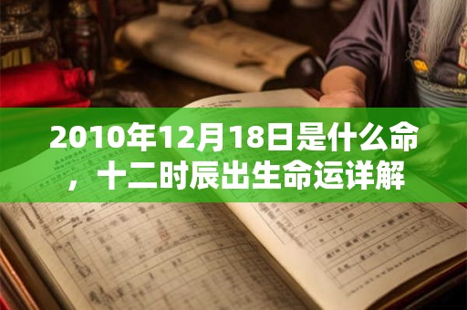 2010年12月18日是什么命，十二时辰出生命运详解