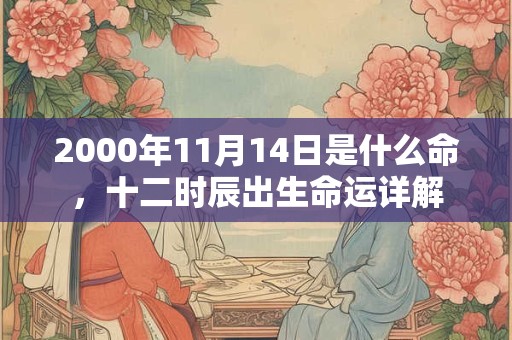2000年11月14日是什么命,十二时辰出生命运详解 2000年11月14日是什么命,十二时辰出生命运详解