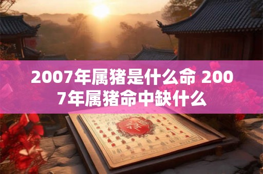 2007年属猪是什么命 2007年属猪命中缺什么