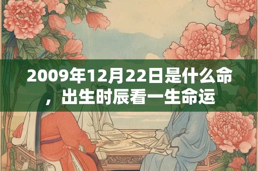 2009年12月22日是什么命，出生时辰看一生命运