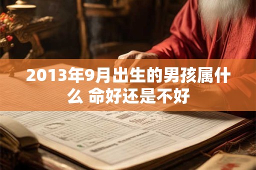 2013年9月出生的男孩属什么 命好还是不好
