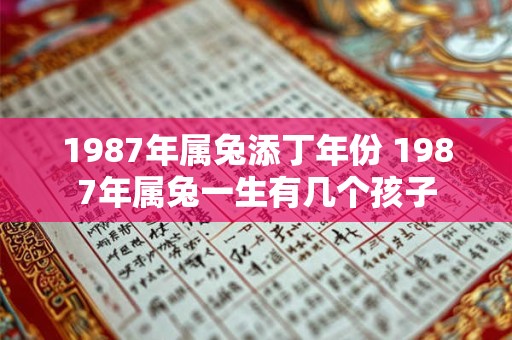 1987年属兔添丁年份 1987年属兔一生有几个孩子 1987年属兔添丁年份 1987年属兔一生有几个孩子