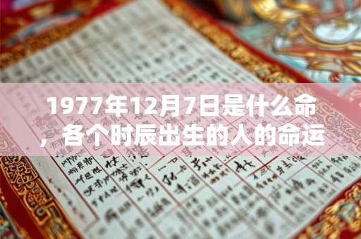 1977年12月7日是什么命，各个时辰出生的人的命运