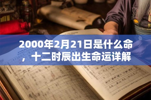 2000年2月21日是什么命，十二时辰出生命运详解