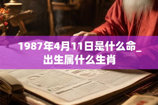 1987年4月11日是什么命_出生属什么生肖