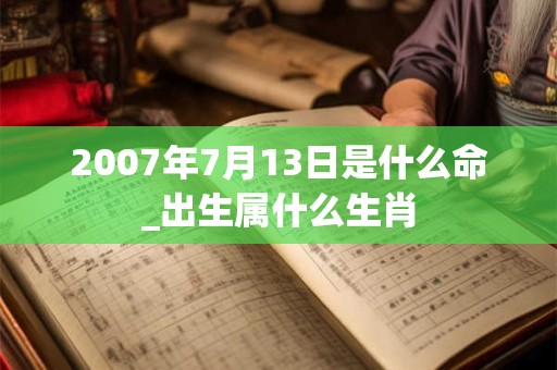 2007年7月13日是什么命_出生属什么生肖