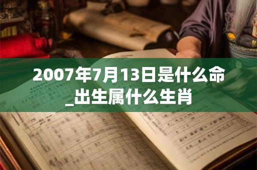 2007年7月13日是什么命_出生属什么生肖 2007年7月13日是什么命_出生属什么生肖