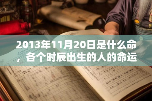 2013年11月20日是什么命,各个时辰出生的人的命运 2013年11月20日是什么命,各个时辰出生的人的命运