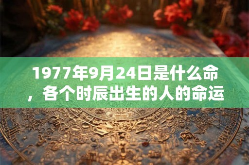 1977年9月24日是什么命，各个时辰出生的人的命运