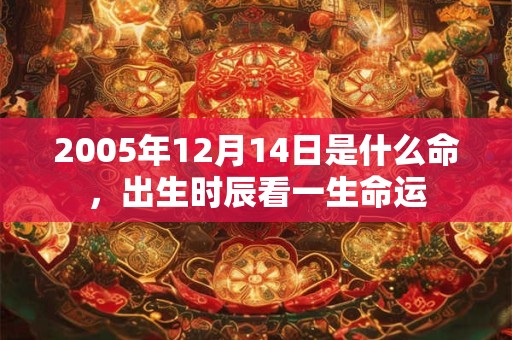 2005年12月14日是什么命，出生时辰看一生命运