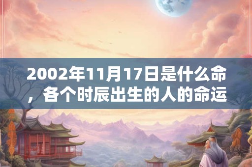 2002年11月17日是什么命，各个时辰出生的人的命运