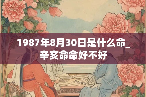 1987年8月30日是什么命_辛亥命命好不好 1987年8月30日是什么命_辛亥命命好不好