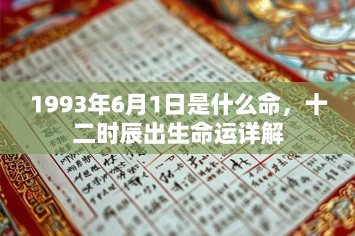 1993年6月1日是什么命，十二时辰出生命运详解