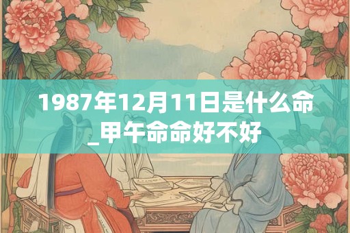 1987年12月11日是什么命_甲午命命好不好