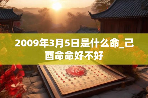 2009年3月5日是什么命_己酉命命好不好