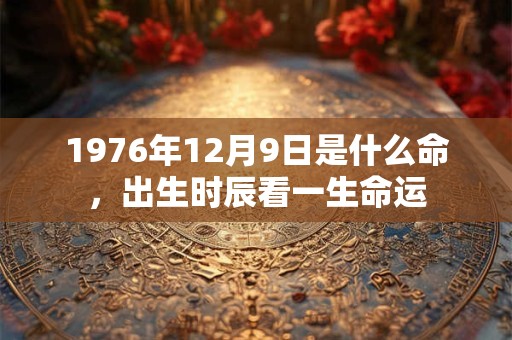 1976年12月9日是什么命，出生时辰看一生命运