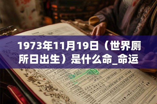 1973年11月19日（世界厕所日出生）是什么命_命运如何
