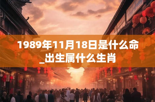 1989年11月18日是什么命_出生属什么生肖