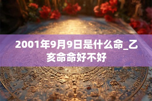 2001年9月9日是什么命_乙亥命命好不好
