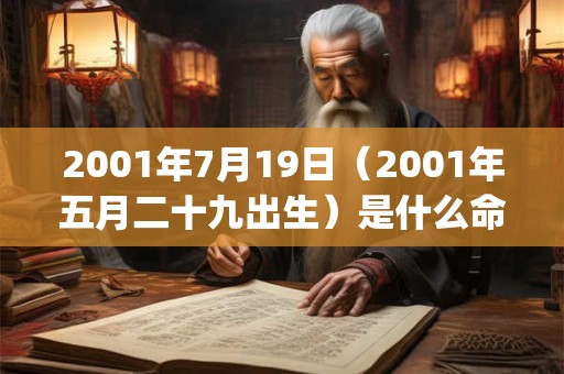 2001年7月19日(2001年五月二十九出生)是什么命_命运如何 2001年7月19日(2001年五月二十九出生)是什么命_命运如何