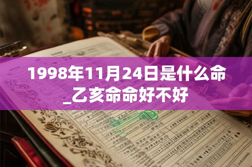 1998年11月24日是什么命_乙亥命命好不好