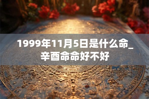 1999年11月5日是什么命_辛酉命命好不好