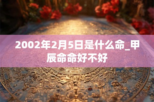 2002年2月5日是什么命_甲辰命命好不好