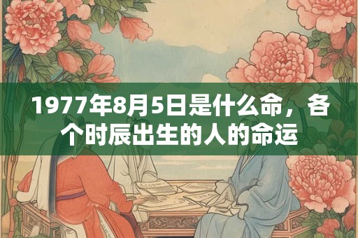 1977年8月5日是什么命，各个时辰出生的人的命运