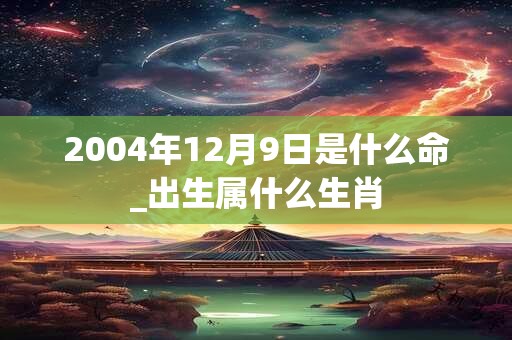 2004年12月9日是什么命_出生属什么生肖