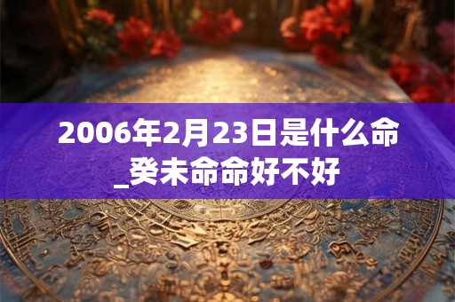 2006年2月23日是什么命_癸未命命好不好