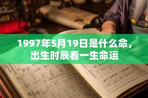 1997年5月19日是什么命,出生时辰看一生命运 1997年5月19日是什么命,出生时辰看一生命运