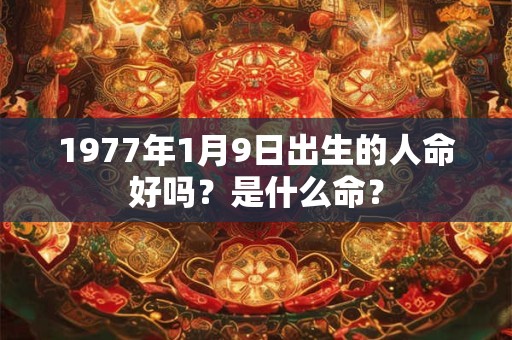 1977年1月9日出生的人命好吗？是什么命？