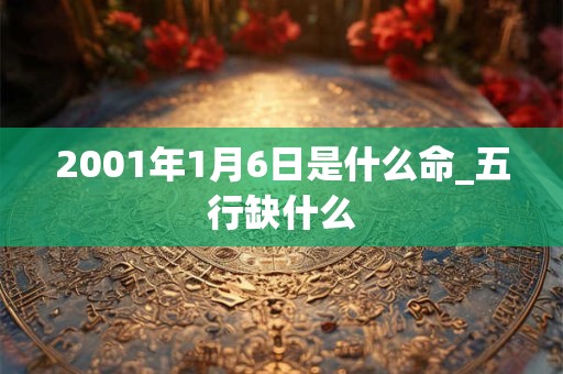 2001年1月6日是什么命_五行缺什么