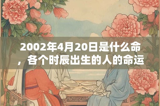 2002年4月20日是什么命，各个时辰出生的人的命运