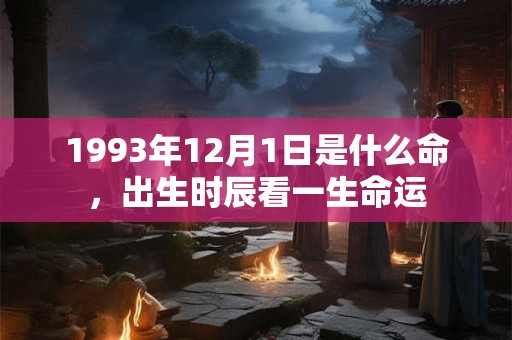 1993年12月1日是什么命,出生时辰看一生命运 1993年12月1日是什么命,出生时辰看一生命运
